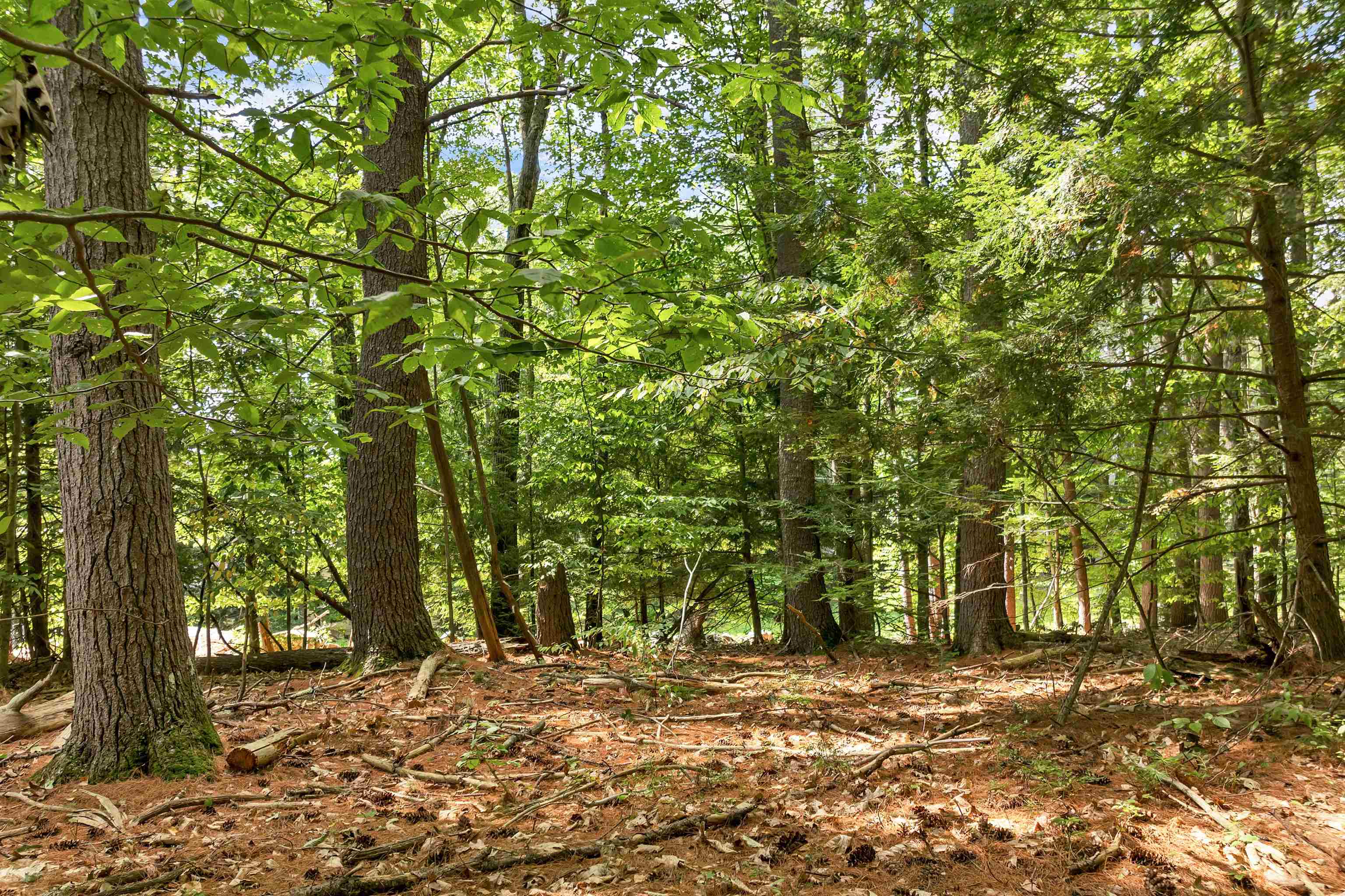 7-1 Nh 03276 Road Tilton, NH 03276 - Photo 19 of 28