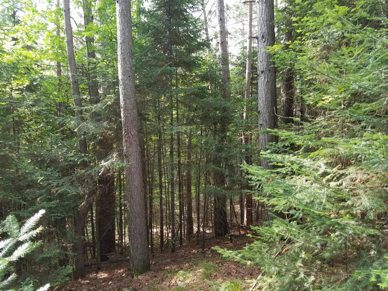 On Bald Eagle Road Presque Isle, WI 54557 - Photo 23 of 33 Gallery Image 23