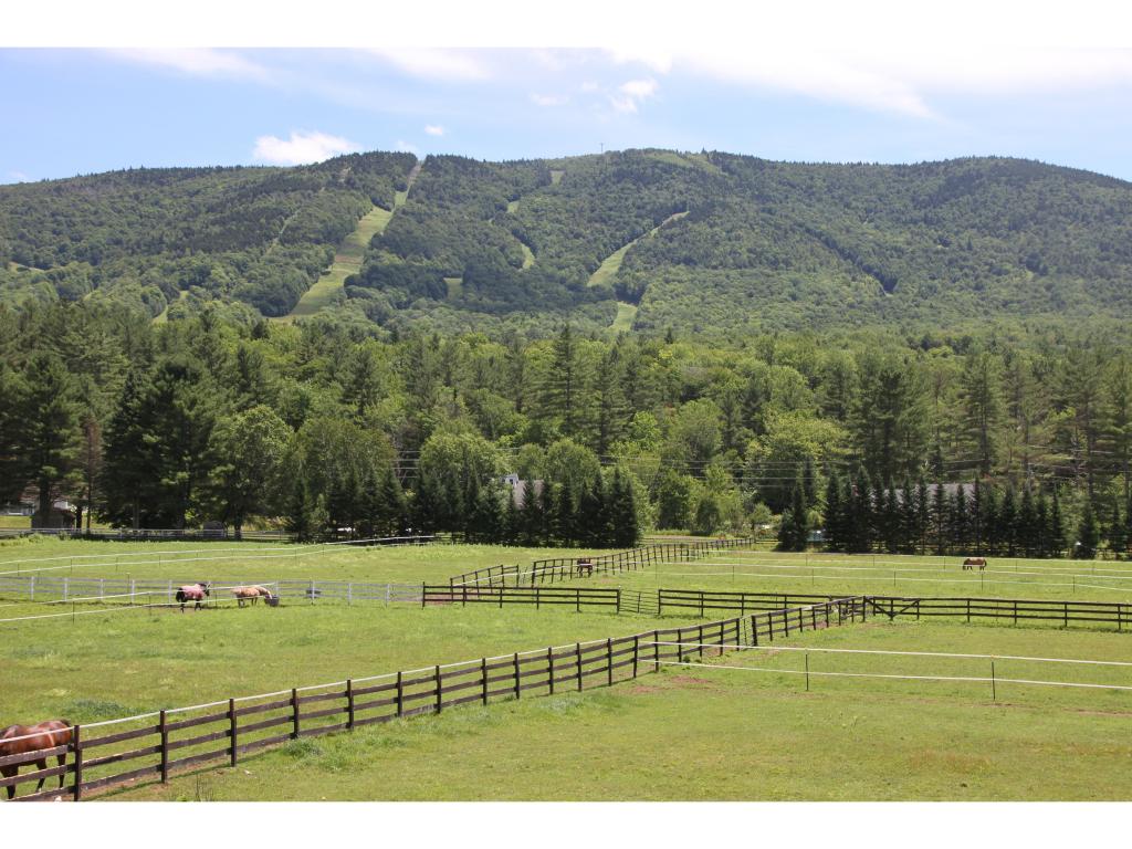 2725 Thompsonburg Road Londonderry, VT 05155 - Photo 1 of 35