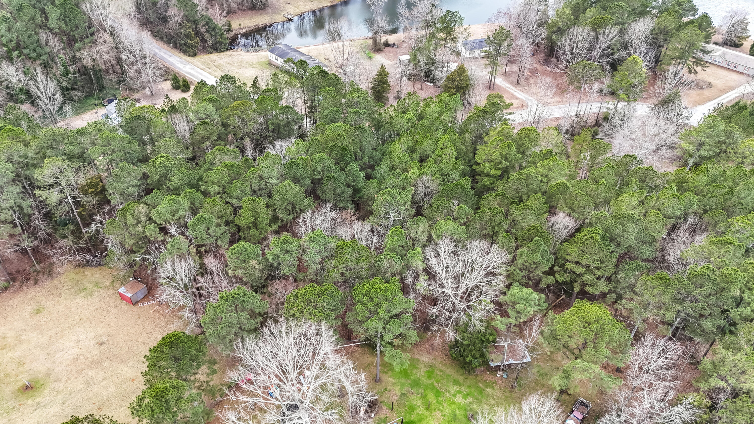 0 Twin Ponds Road Newberry, SC 29108 - Photo 11 of 19