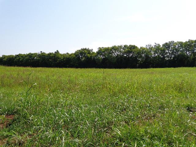 2701 Anes Station Road Lewisburg, TN 37091 - Photo 2 of 3 Gallery Image 2