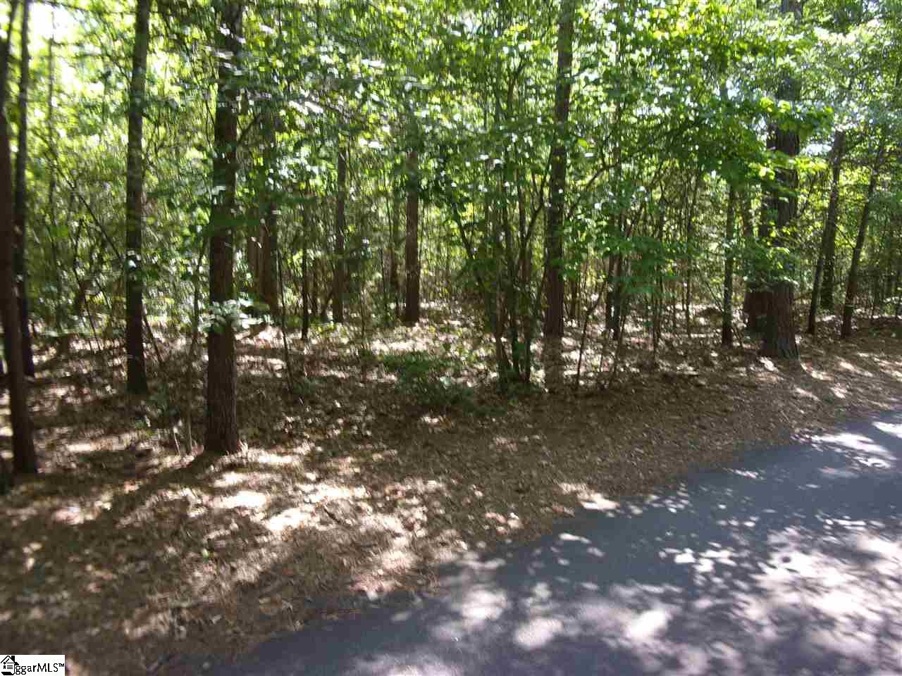 0 Cherokee Road, Unit LOT A Pelzer, SC 29669 - Photo 1 of 1