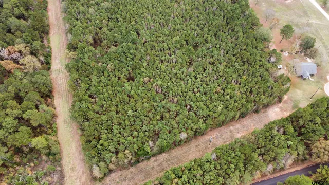 a view of a garden with plants