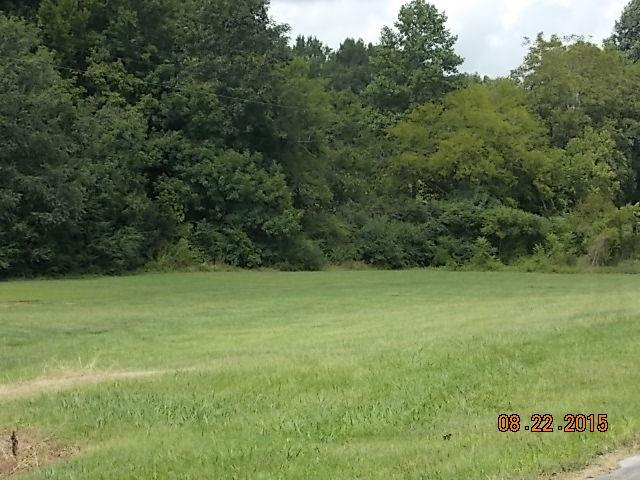 0 Sumac Pulaski, TN 38478 - Photo 13 of 14 Gallery Image 13