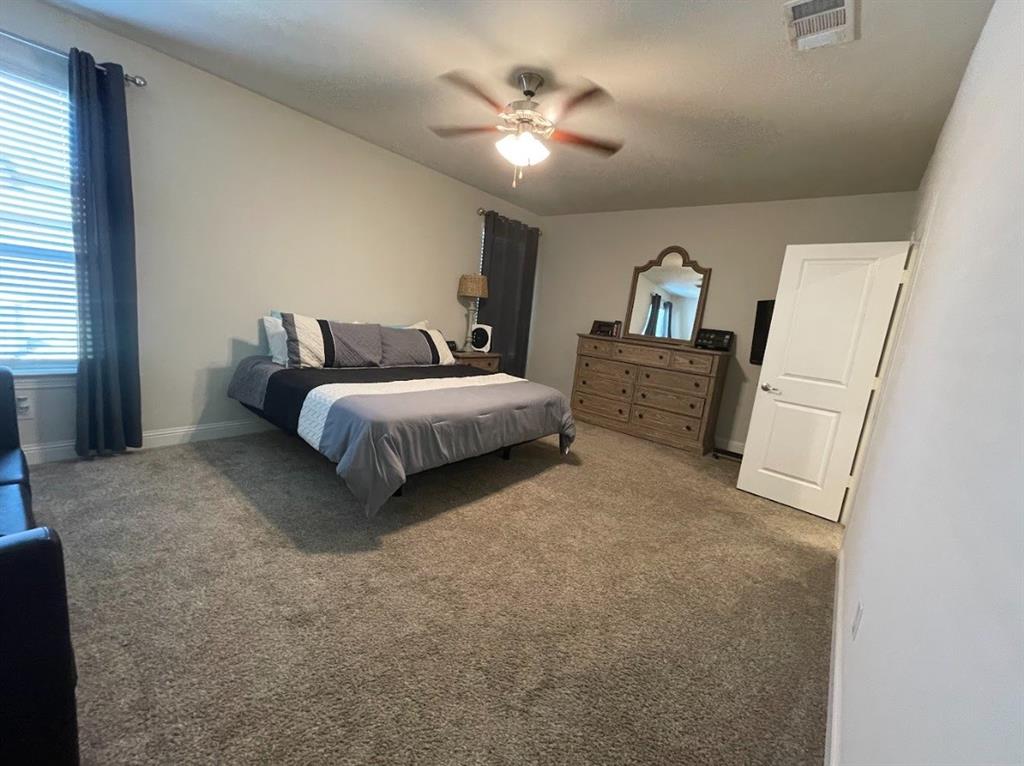 2917 Grizzly Road Aubrey, TX 76227 - Photo 11 of 20