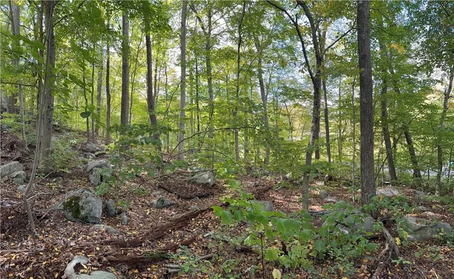 $19,000 | Lake Shore Road, Putnam Valley, NY 10579