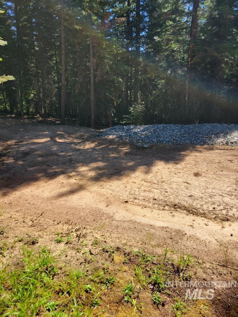 1900 Sweeney Road Elk City, ID 83525 - Photo 4 of 4