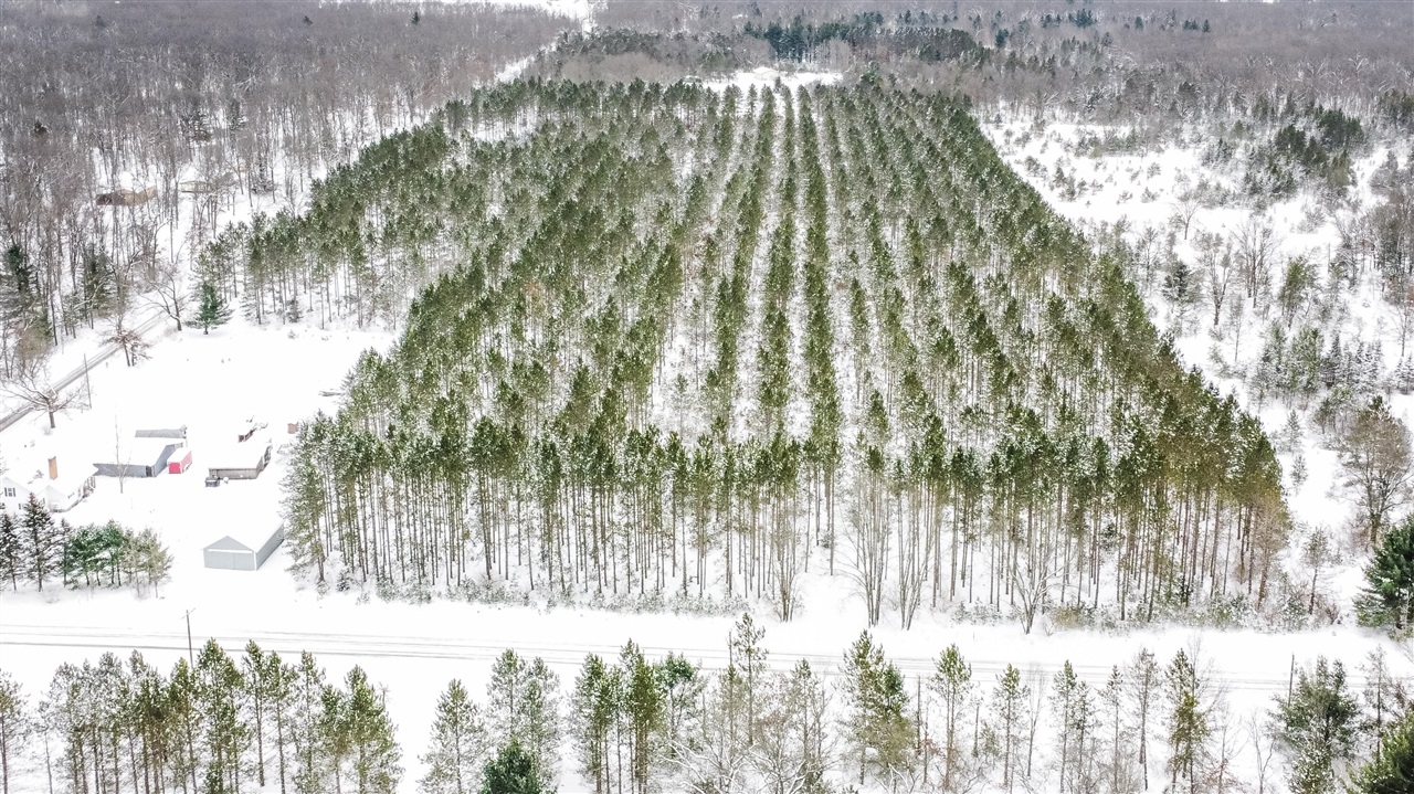 8 West 8 Mile Road Free Soil, MI 49411 - Photo 6 of 9