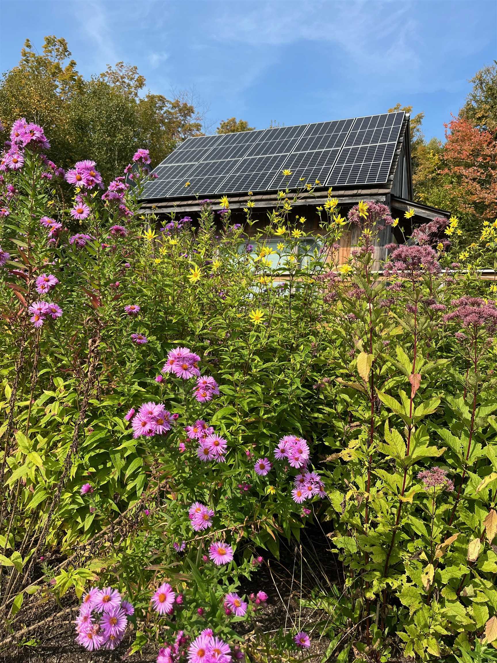 741 Shaw Road Roxbury, VT 05669 - Photo 19 of 31