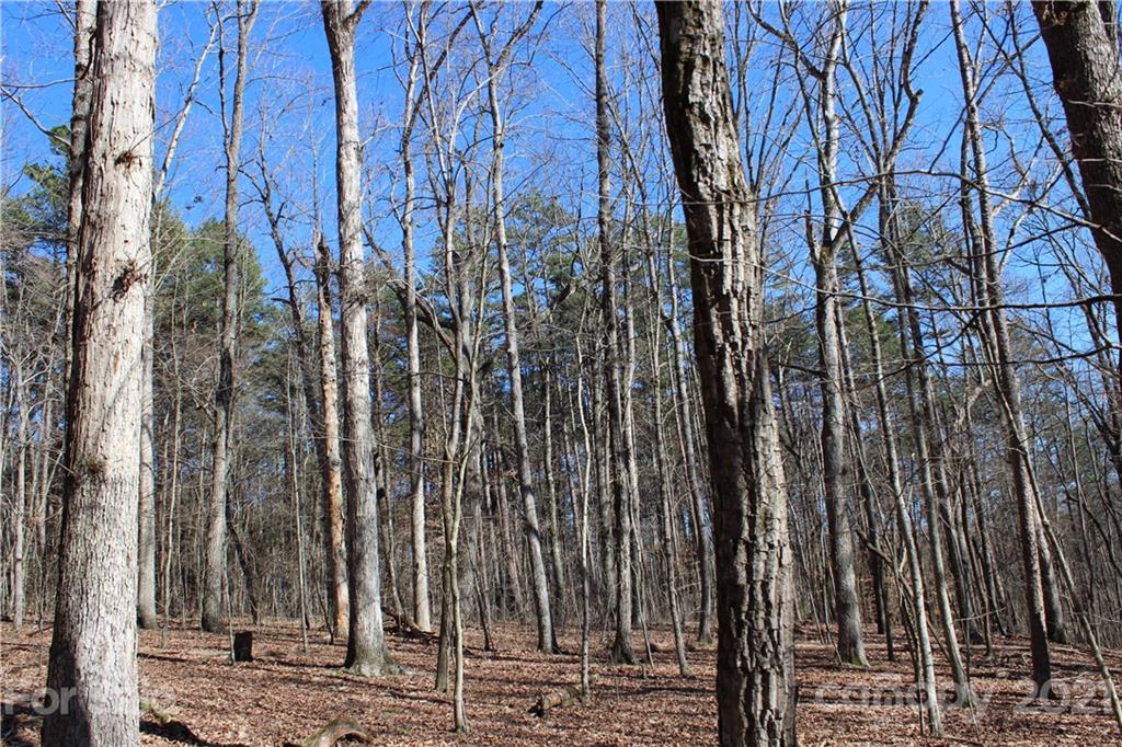 40 Huckleberry Ridge Road Hiddenite, NC 28636 - Photo 12 of 48 a view of a backyard of the house