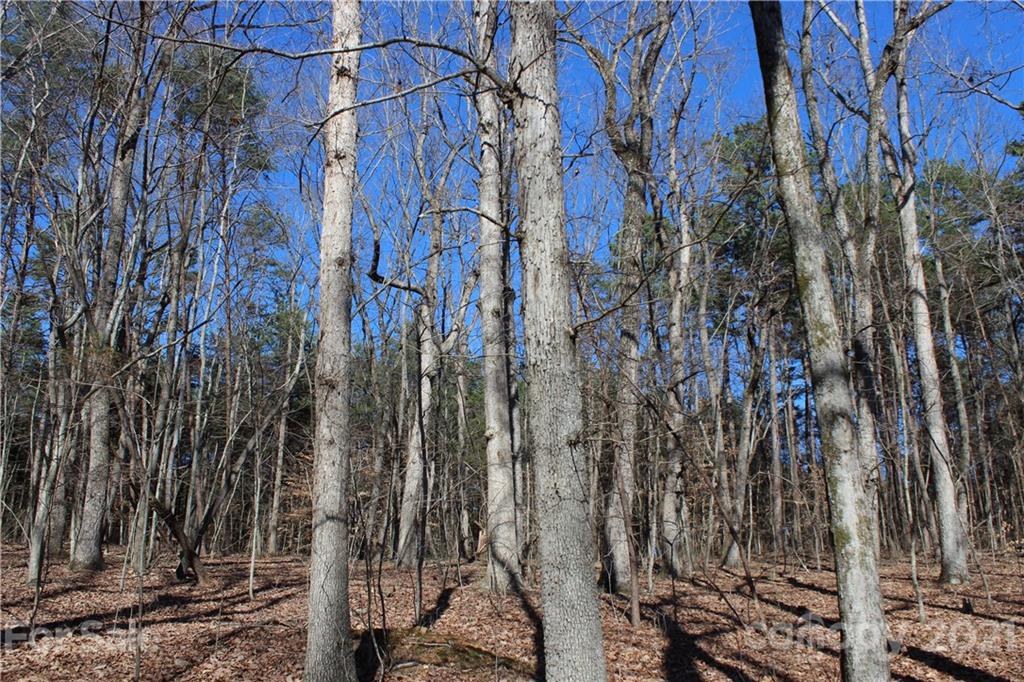 40 Huckleberry Ridge Road Hiddenite, NC 28636 - Photo 13 of 48 a view of a forest with a building
