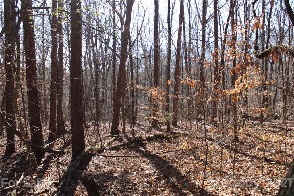 40 Huckleberry Ridge Road Hiddenite, NC 28636 - Photo 15 of 48 a view of a forest with trees in the background