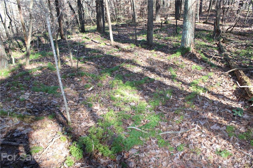 40 Huckleberry Ridge Road Hiddenite, NC 28636 - Photo 16 of 48 a view of trees in a yard