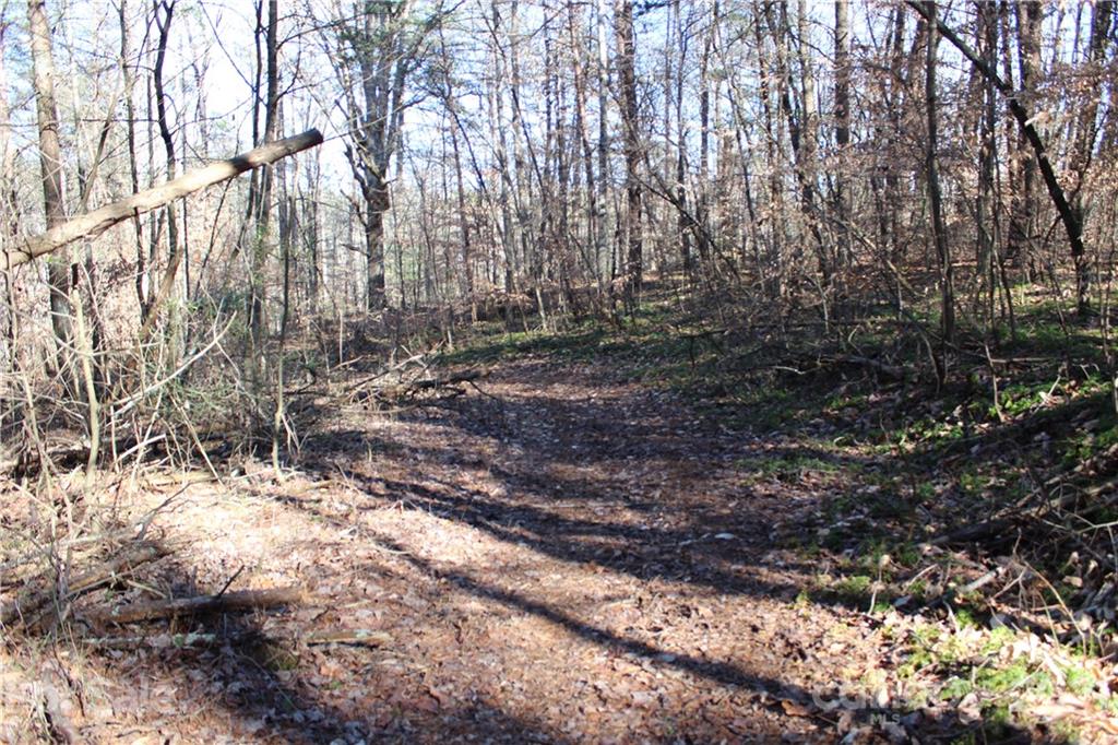 40 Huckleberry Ridge Road Hiddenite, NC 28636 - Photo 17 of 48 a view of outdoor space with trees