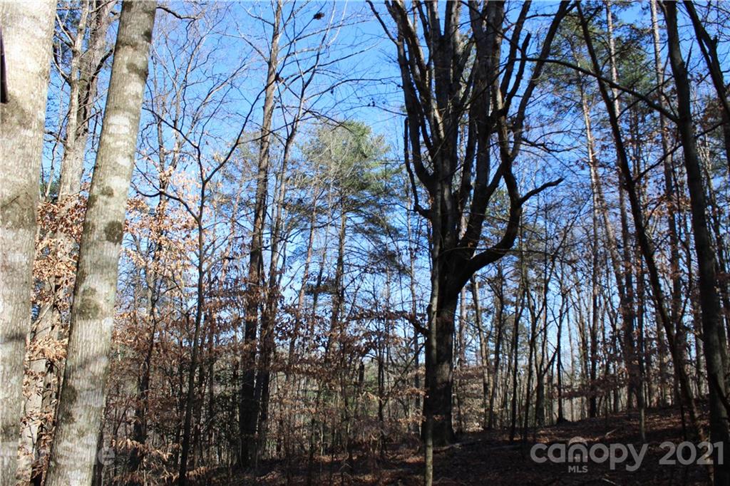 40 Huckleberry Ridge Road Hiddenite, NC 28636 - Photo 18 of 48 not sure