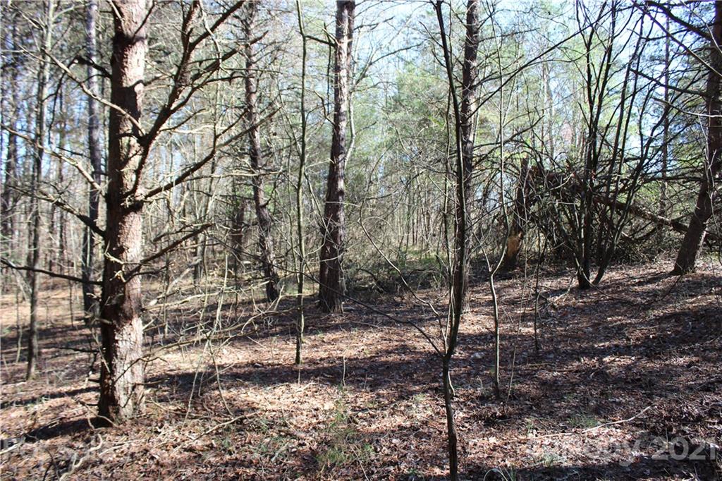 40 Huckleberry Ridge Road Hiddenite, NC 28636 - Photo 19 of 48 a view of a forest filled with trees