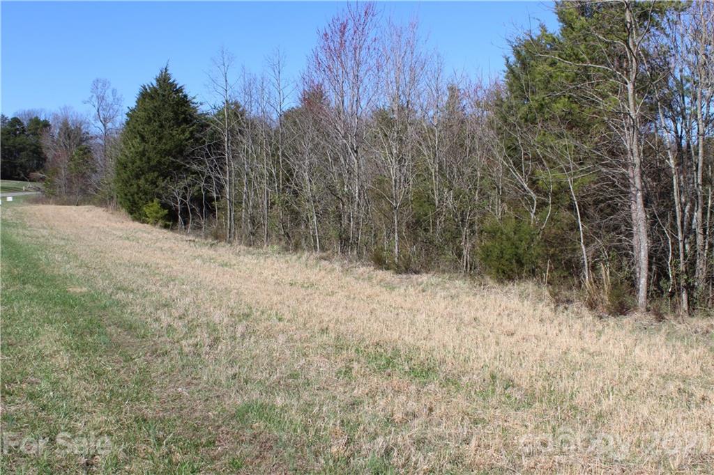 40 Huckleberry Ridge Road Hiddenite, NC 28636 - Photo 21 of 48 a view of a dry yard with trees