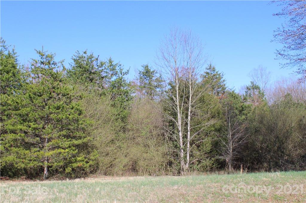 40 Huckleberry Ridge Road Hiddenite, NC 28636 - Photo 23 of 48 a view of a yard with trees in the background