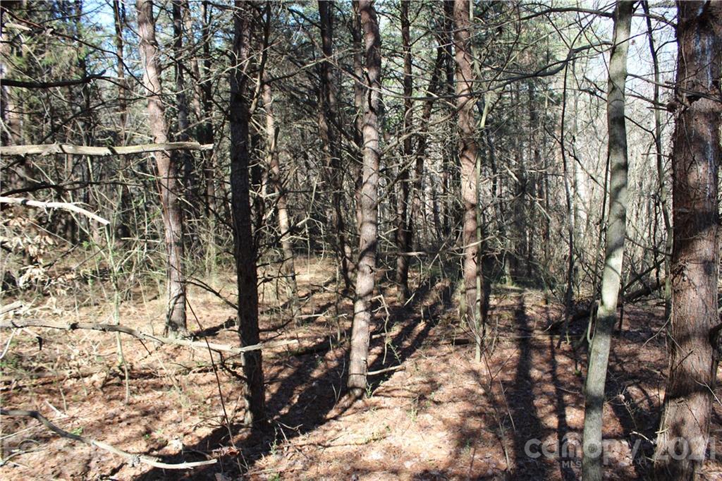 40 Huckleberry Ridge Road Hiddenite, NC 28636 - Photo 24 of 48