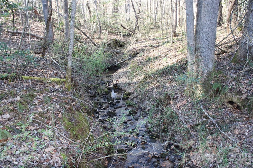 40 Huckleberry Ridge Road Hiddenite, NC 28636 - Photo 25 of 48 a view of a yard with a tree