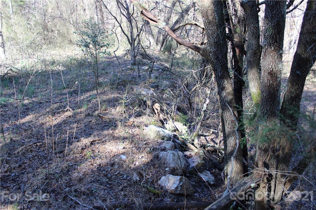 40 Huckleberry Ridge Road Hiddenite, NC 28636 - Photo 30 of 48 a view of a forest with lots of trees