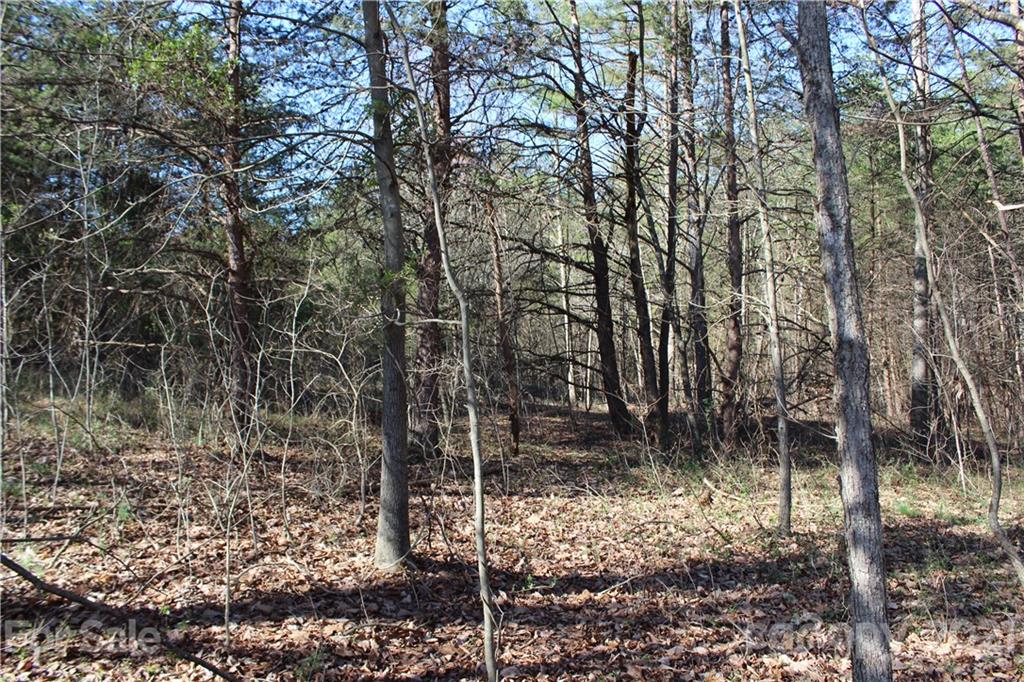 40 Huckleberry Ridge Road Hiddenite, NC 28636 - Photo 31 of 48 a backyard of a house with lots of plants and large trees