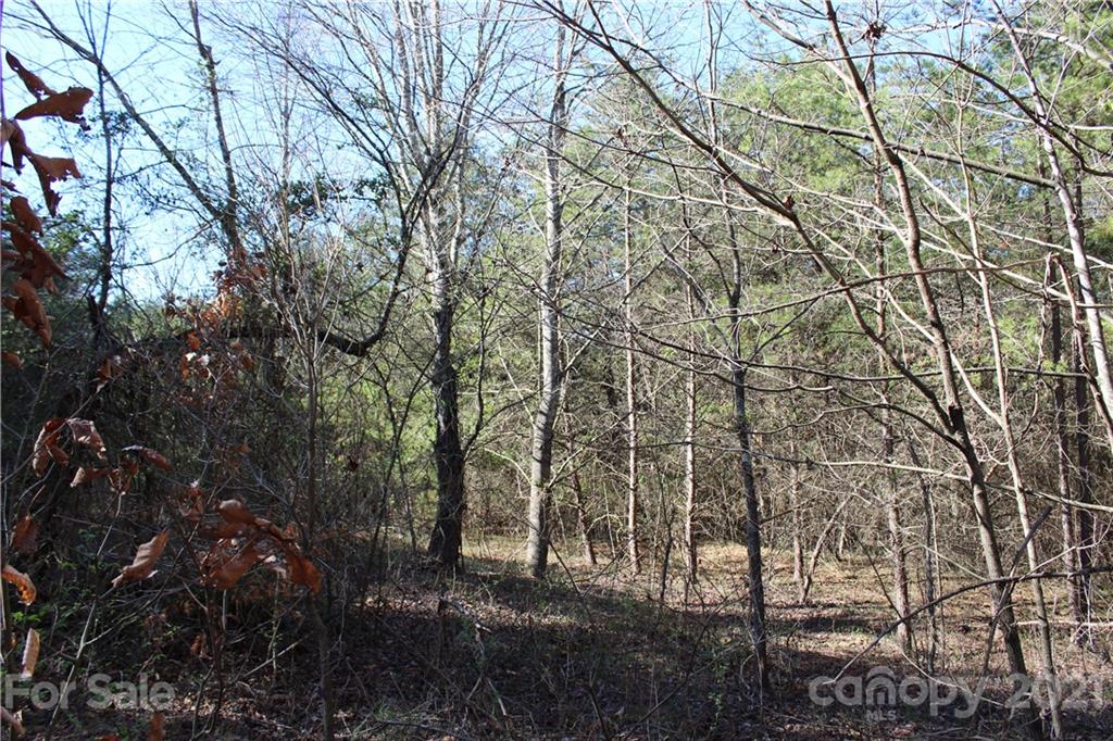 40 Huckleberry Ridge Road Hiddenite, NC 28636 - Photo 32 of 48 a view of a large yard