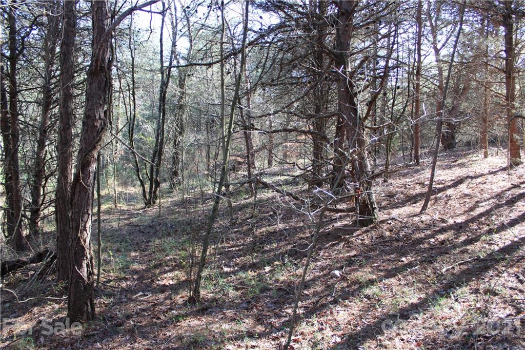 40 Huckleberry Ridge Road Hiddenite, NC 28636 - Photo 33 of 48 a view of a forest with trees in the background