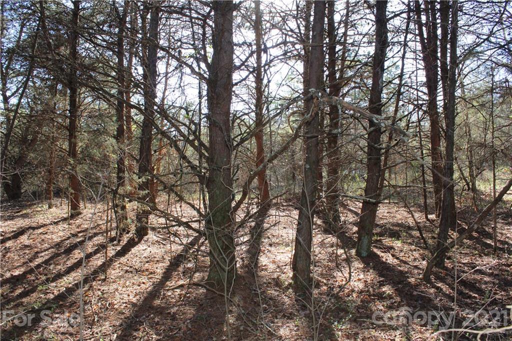 40 Huckleberry Ridge Road Hiddenite, NC 28636 - Photo 34 of 48