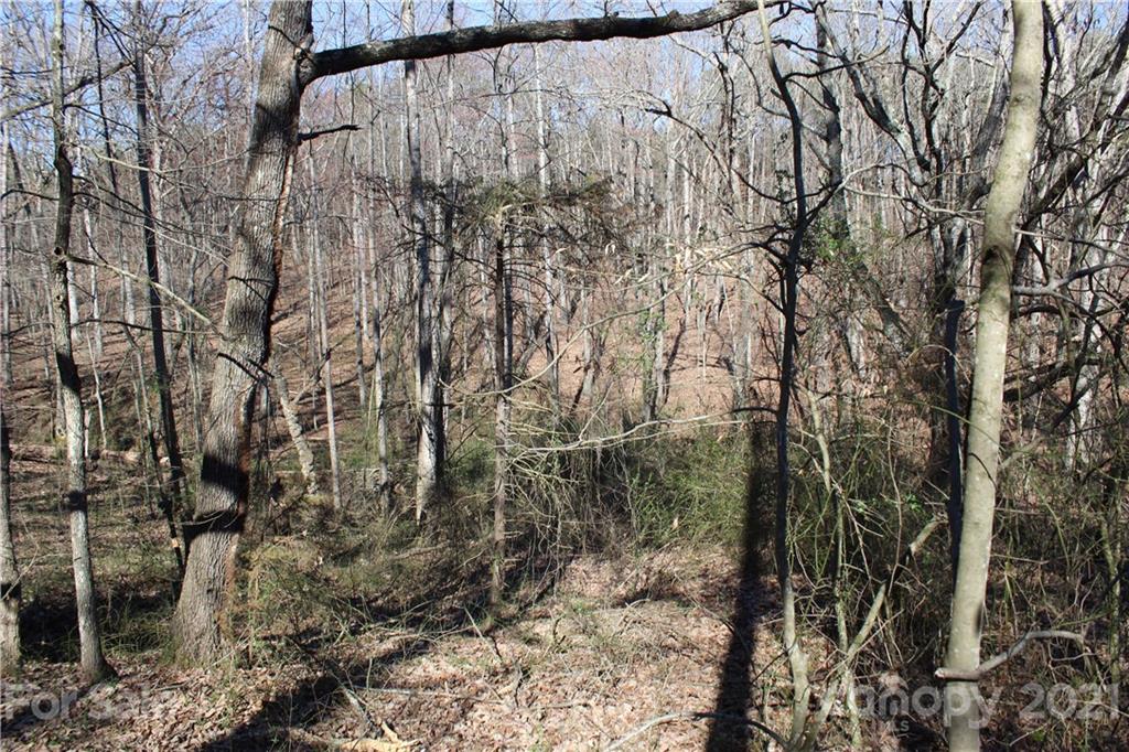 40 Huckleberry Ridge Road Hiddenite, NC 28636 - Photo 35 of 48 a view of a forest