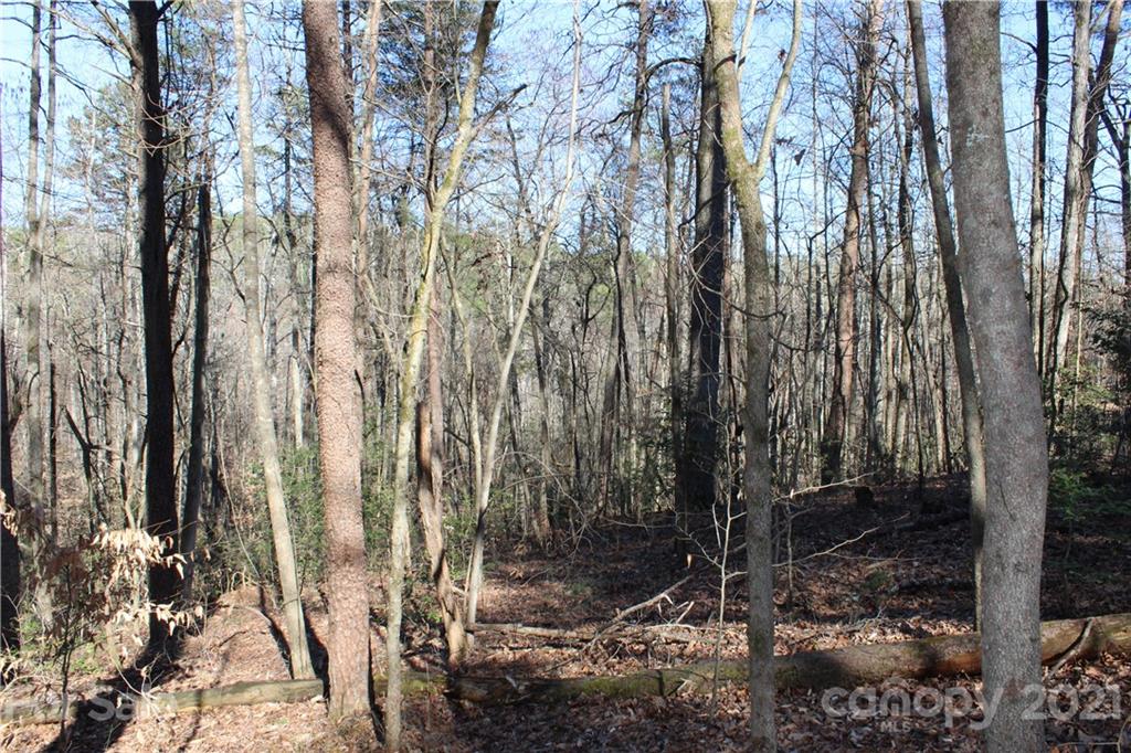 40 Huckleberry Ridge Road Hiddenite, NC 28636 - Photo 36 of 48 a view of a forest