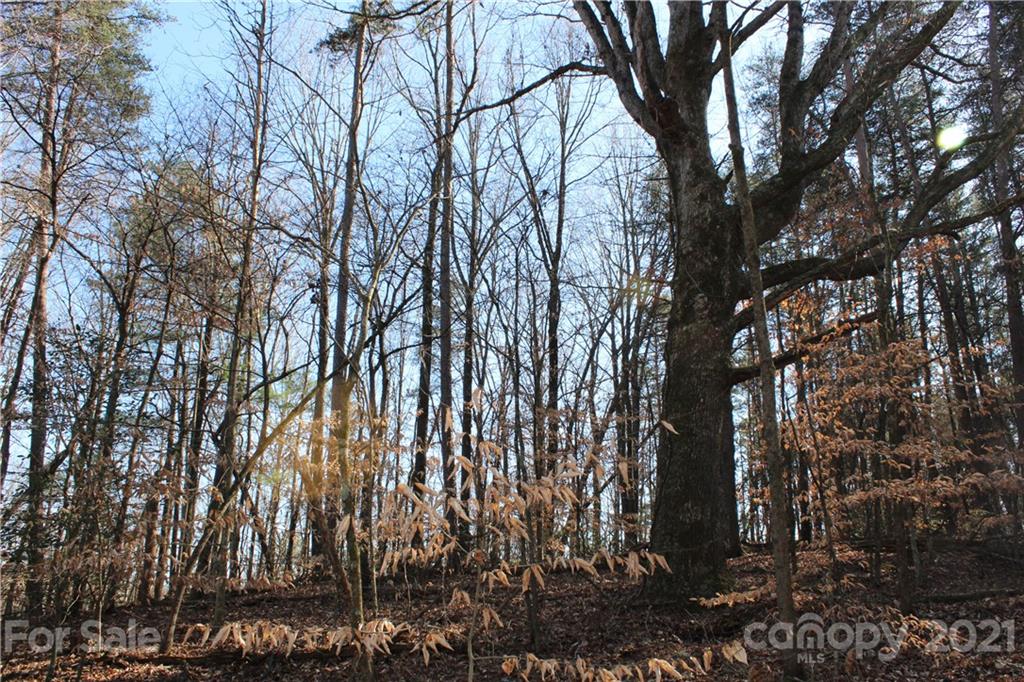 40 Huckleberry Ridge Road Hiddenite, NC 28636 - Photo 37 of 48 a backyard of a house with lots of green space