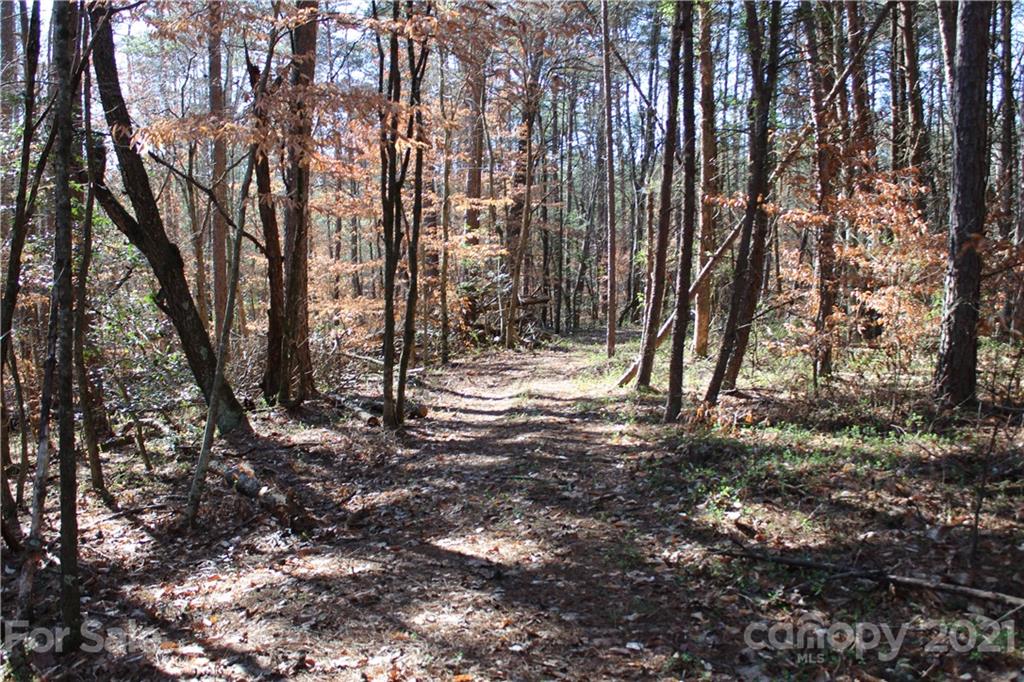 40 Huckleberry Ridge Road Hiddenite, NC 28636 - Photo 38 of 48 a view of outdoor space and trees
