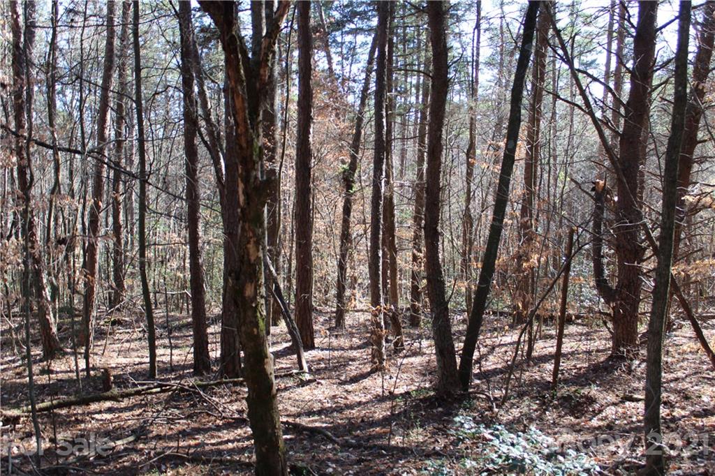 40 Huckleberry Ridge Road Hiddenite, NC 28636 - Photo 39 of 48 a view of outdoor space with lots of trees