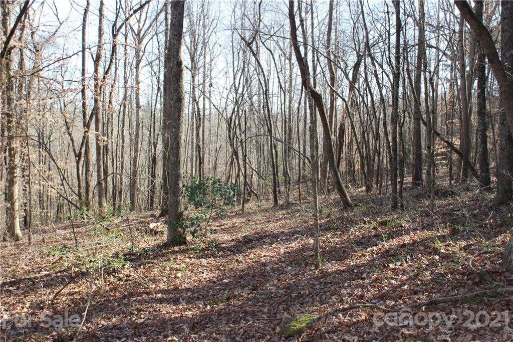 40 Huckleberry Ridge Road Hiddenite, NC 28636 - Photo 40 of 48 a view of outdoor space with green space