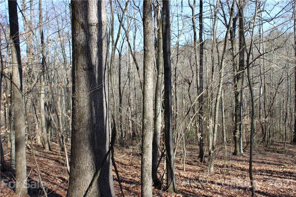 40 Huckleberry Ridge Road Hiddenite, NC 28636 - Photo 41 of 48 a view of outdoor space