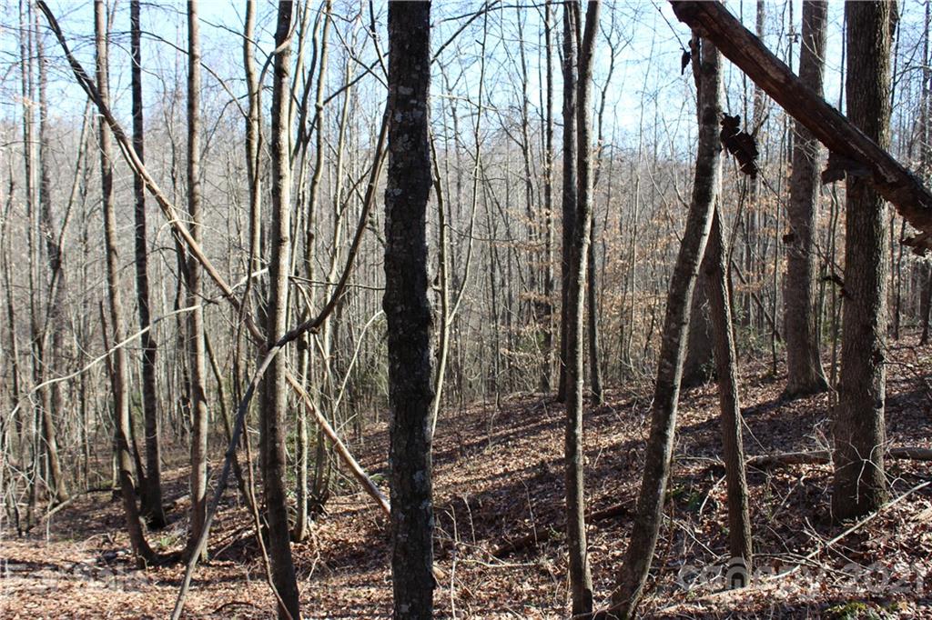 40 Huckleberry Ridge Road Hiddenite, NC 28636 - Photo 42 of 48