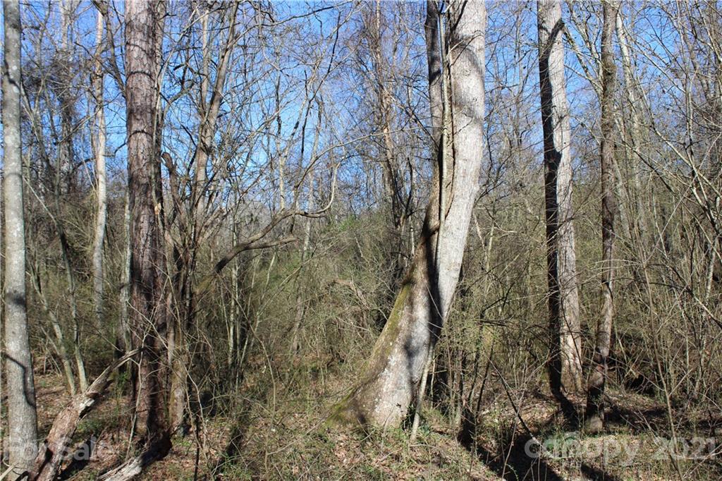 40 Huckleberry Ridge Road Hiddenite, NC 28636 - Photo 43 of 48