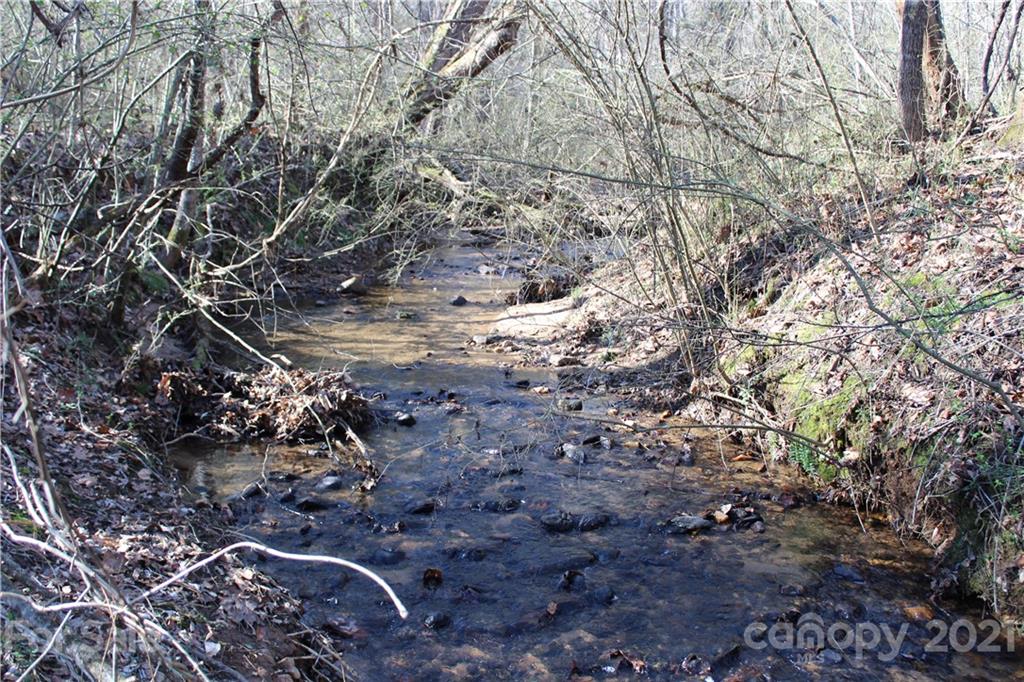 40 Huckleberry Ridge Road Hiddenite, NC 28636 - Photo 6 of 48 a view of water tree
