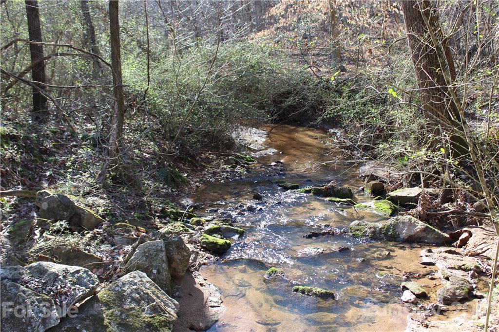 40 Huckleberry Ridge Road Hiddenite, NC 28636 - Photo 9 of 48 a view of water tree