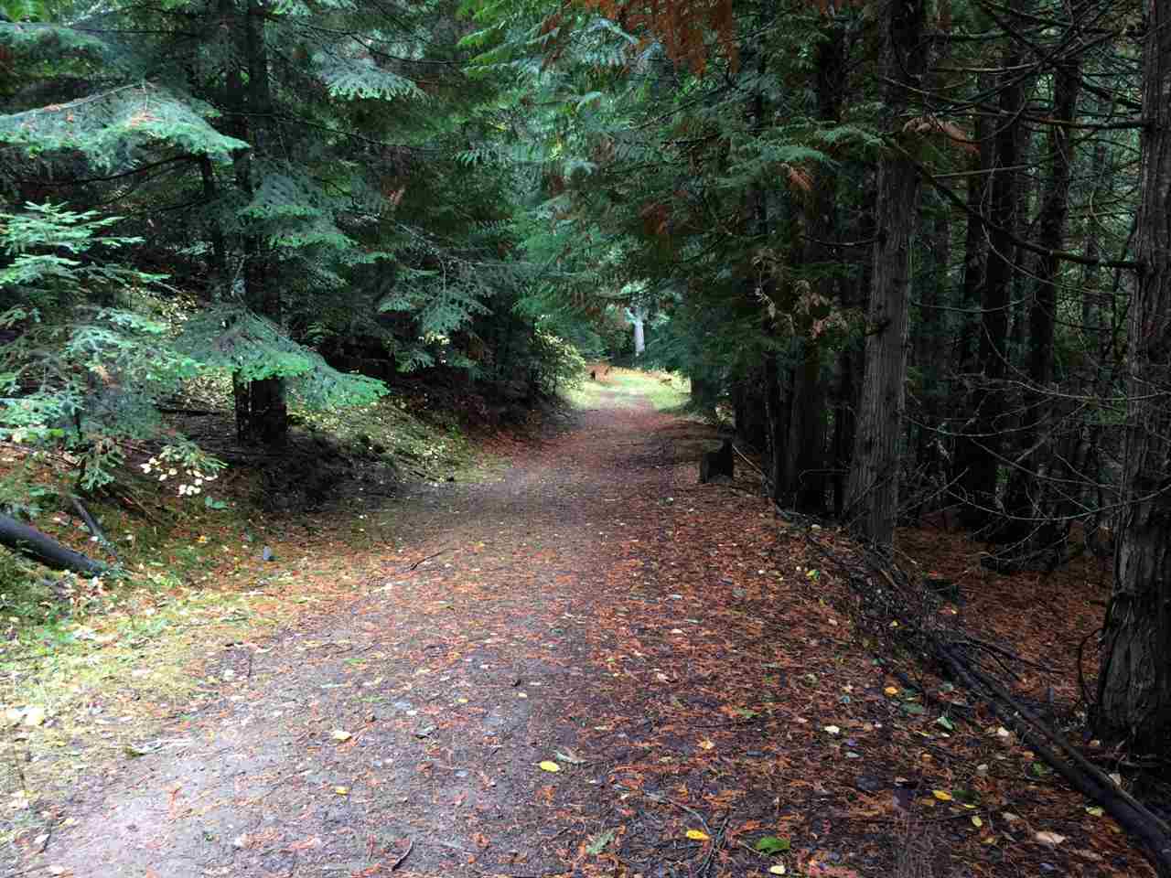3193 Allen Road Elk, WA 99009 - Photo 12 of 20