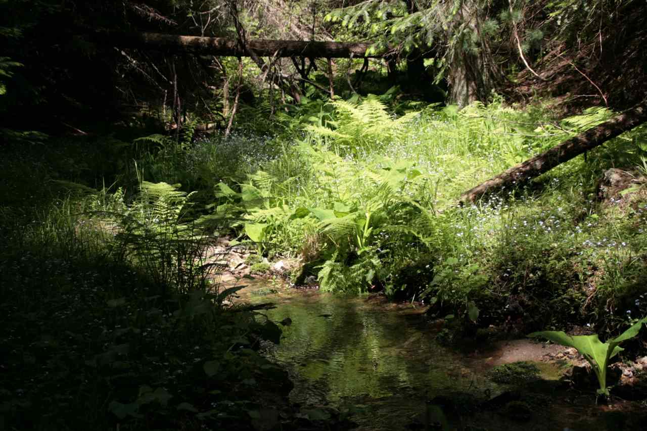 3193 Allen Road Elk, WA 99009 - Photo 14 of 20