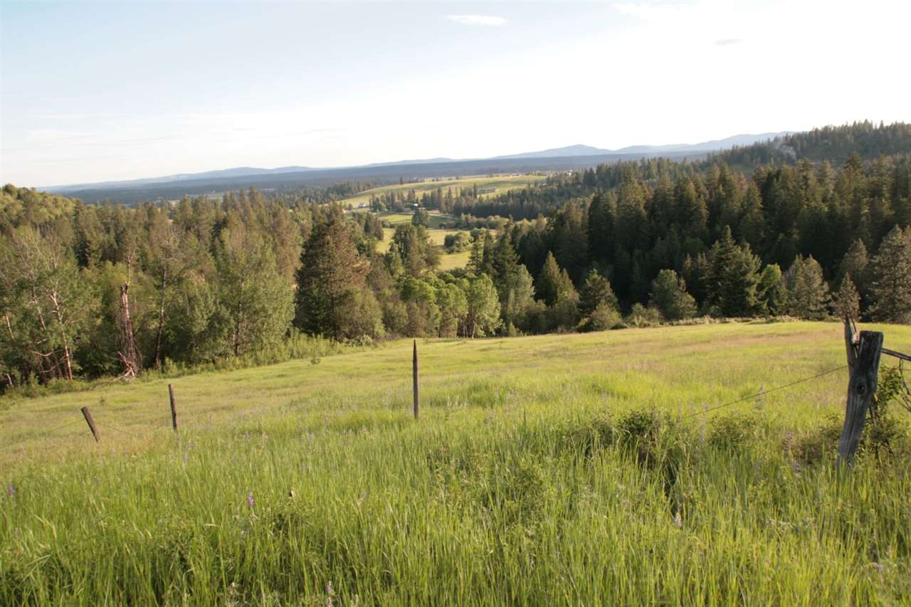 3193 Allen Road Elk, WA 99009 - Photo 18 of 20