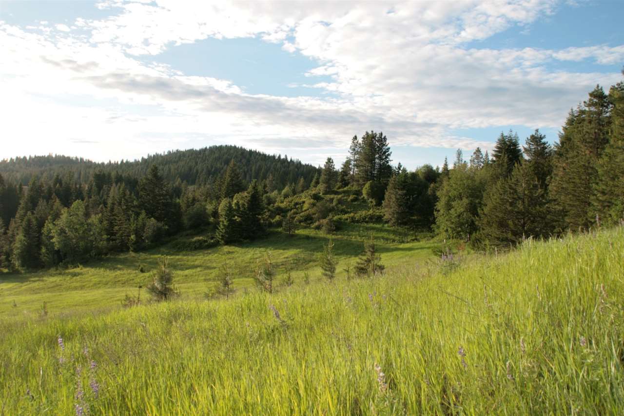 3193 Allen Road Elk, WA 99009 - Photo 19 of 20