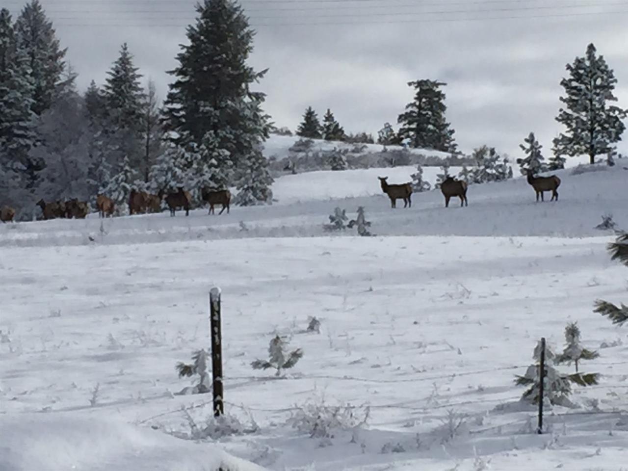 3193 Allen Road Elk, WA 99009 - Photo 20 of 20