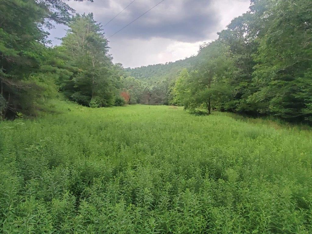 0 Freeman Hollow Road Bath, NY 14810 - Photo 1 of 20 Gallery Image 1