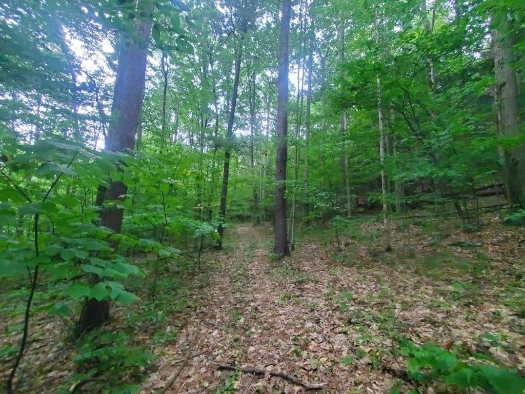 0 Freeman Hollow Road Bath, NY 14810 - Photo 11 of 20 Gallery Image 11