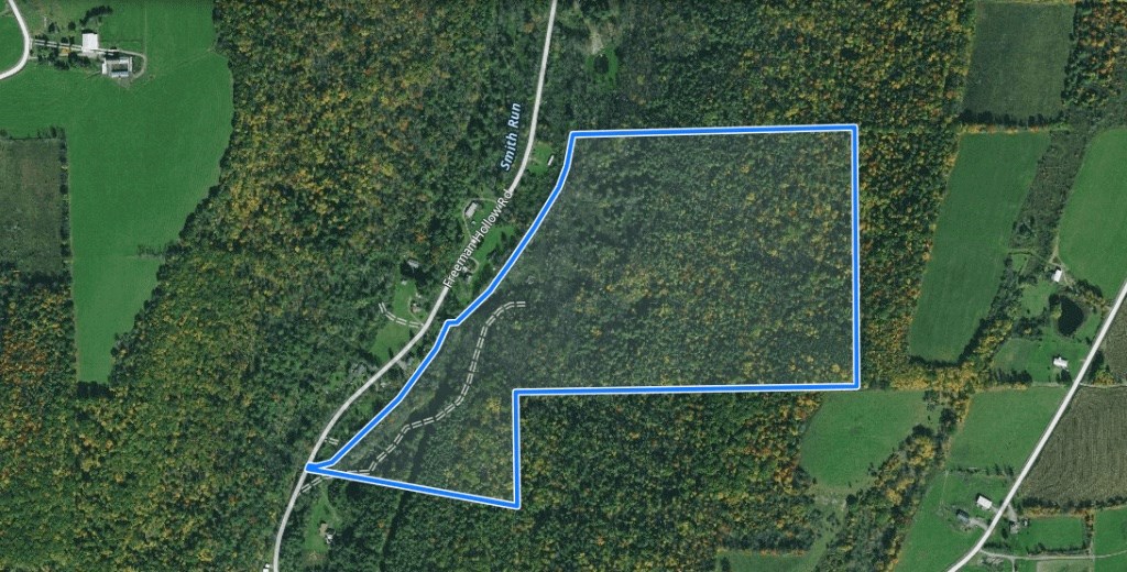 0 Freeman Hollow Road Bath, NY 14810 - Photo 18 of 20 Gallery Image 18