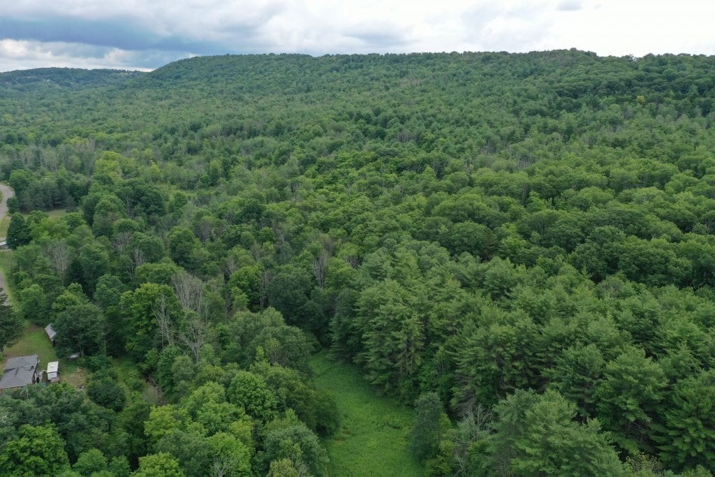 0 Freeman Hollow Road Bath, NY 14810 - Photo 20 of 20 Gallery Image 20