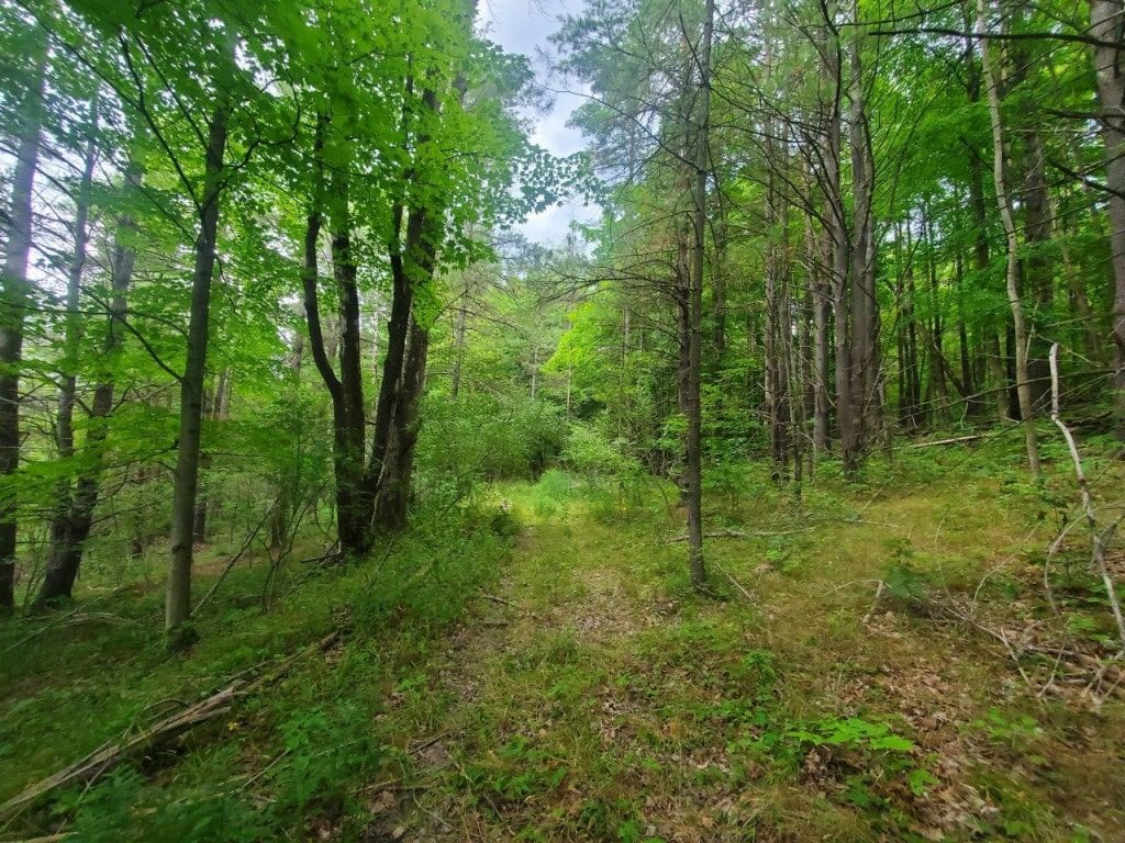 0 Freeman Hollow Road Bath, NY 14810 - Photo 2 of 20 Gallery Image 2